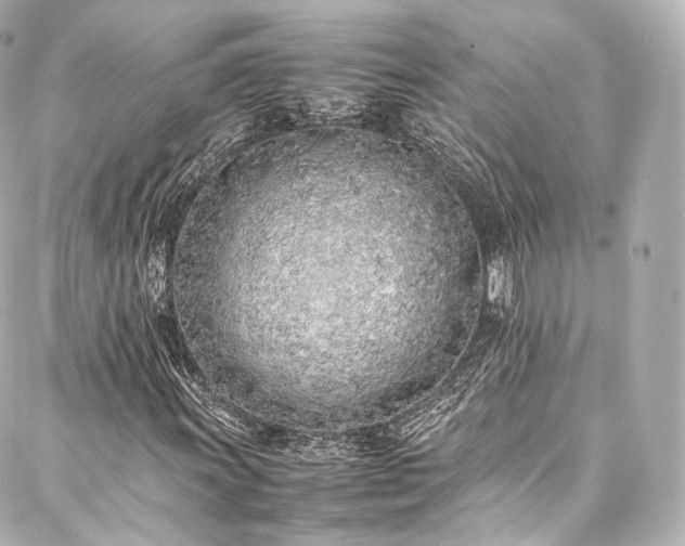 X0000088151011200705141543