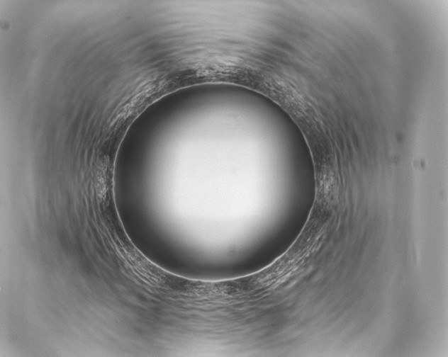 X0000088151012200705141543