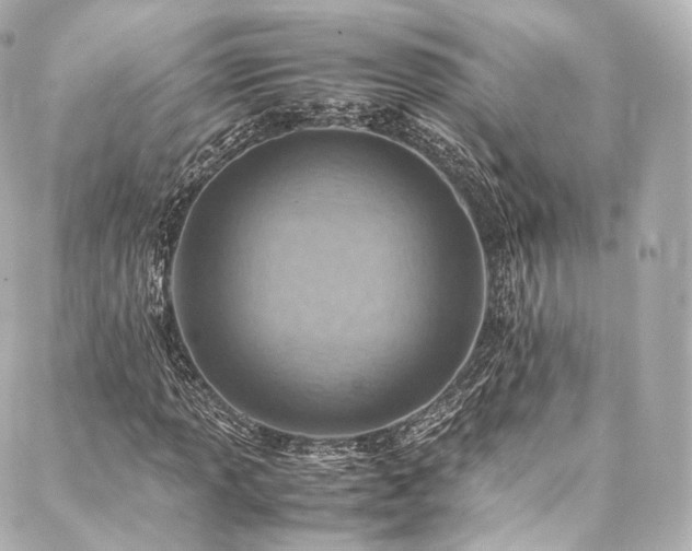 X0000088151013200705141543