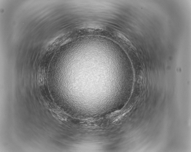 X0000088151014200705141543