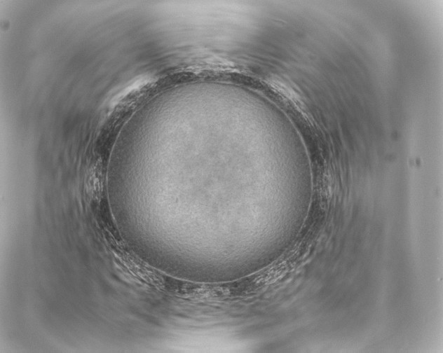 X0000088151063200705141543