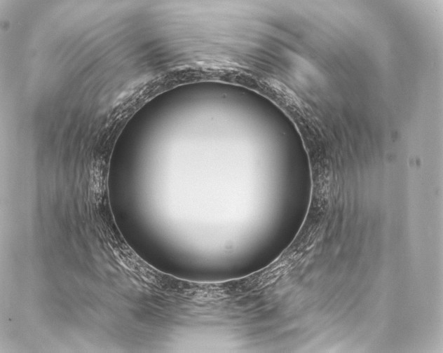 X0000088151110200705141541