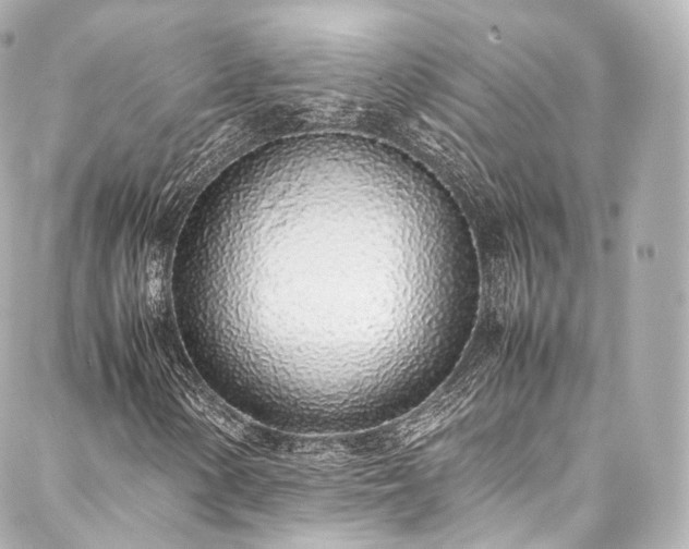 X0000088151154200705141541