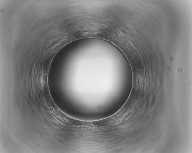 X0000088151250200705141540