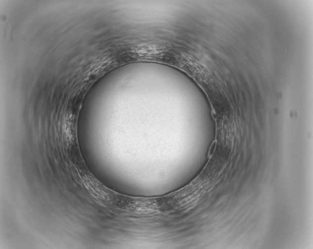 X0000088151346200705141538