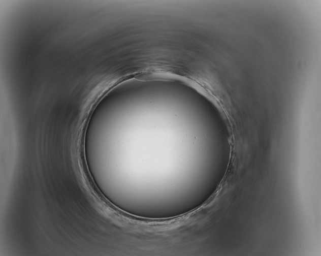 X0000088150001200705211206