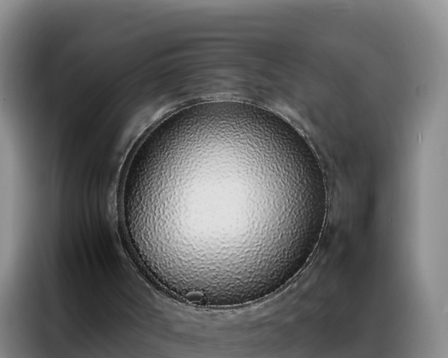 X0000088150002200705211205