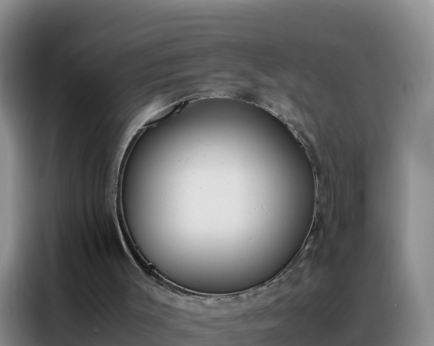 X0000088150003200705211205