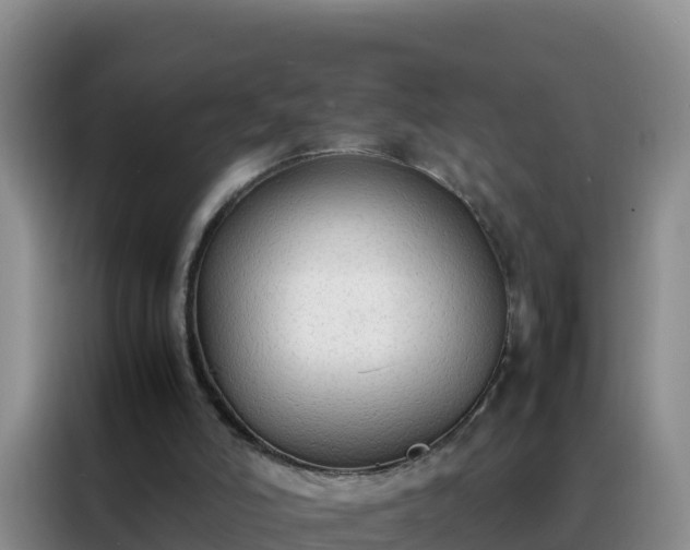 X0000088150006200705211205