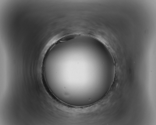 X0000088150007200705211205