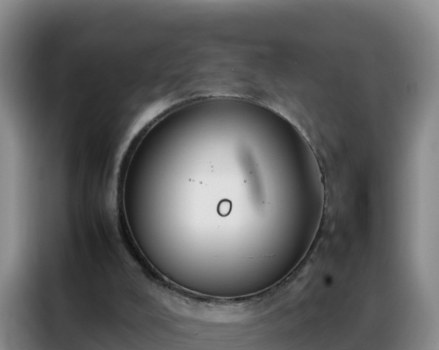 X0000088150008200705211205