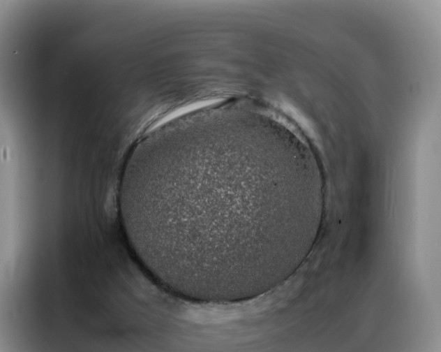 X0000088150009200705211205