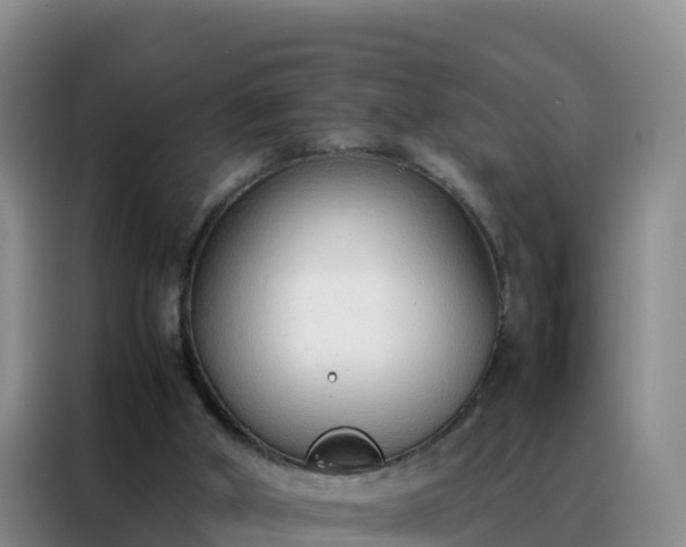 X0000088150010200705211205