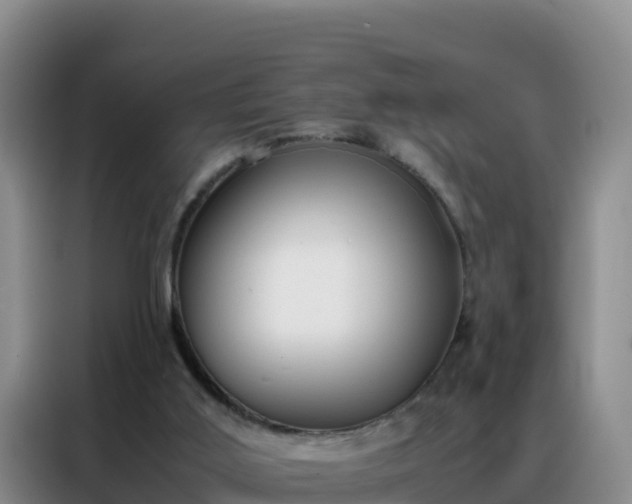 X0000088150011200705211205