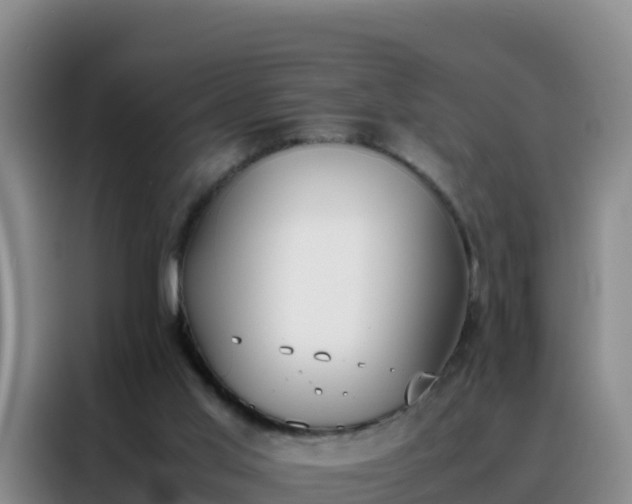 X0000088150013200705211205