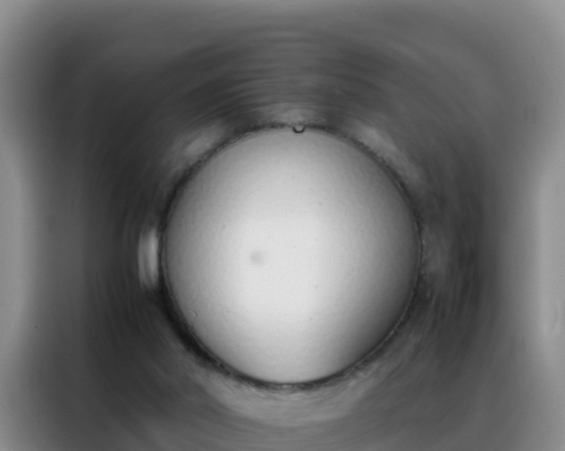 X0000088150014200705211205