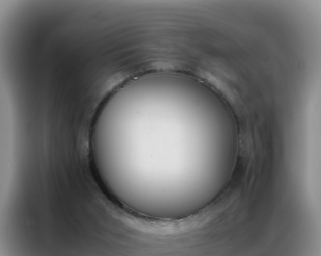 X0000088150015200705211205