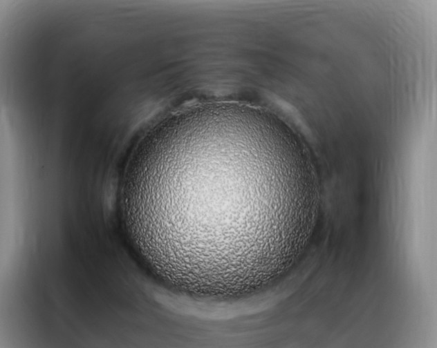 X0000088150018200705211205