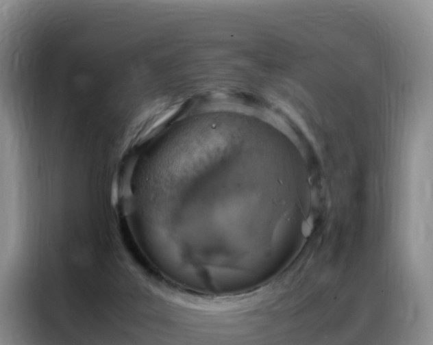 X0000088150019200705211205