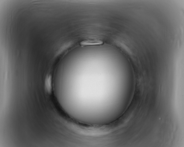 X0000088150020200705211205