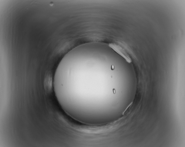 X0000088150021200705211205