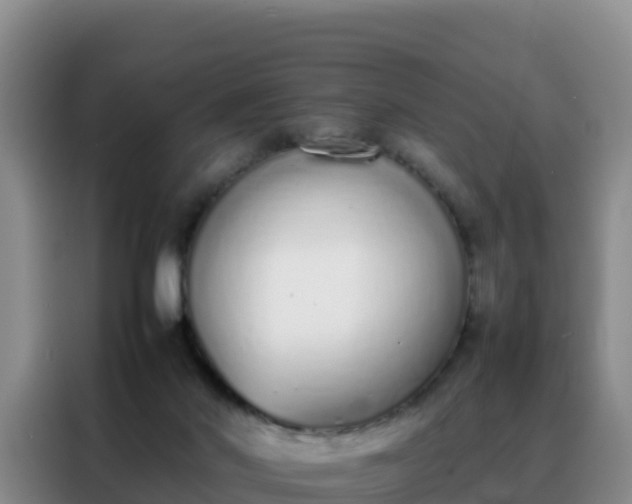 X0000088150022200705211205