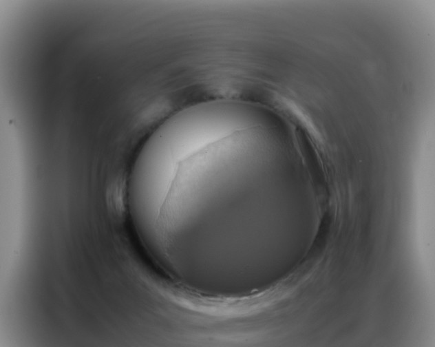 X0000088150023200705211205