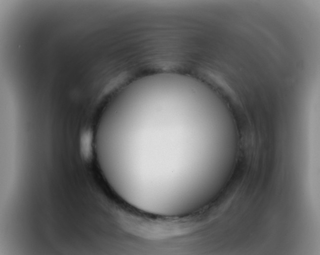 X0000088150024200705211205