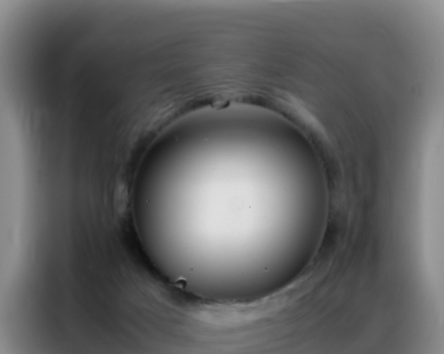 X0000088150025200705211205