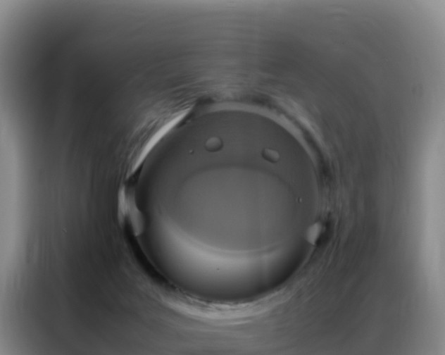 X0000088150027200705211205