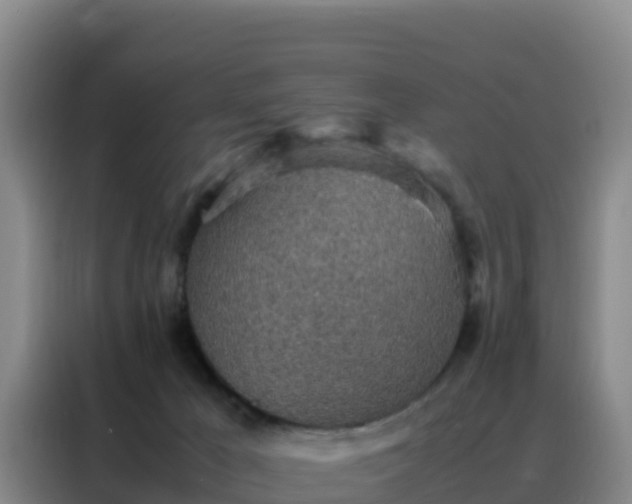 X0000088150029200705211205