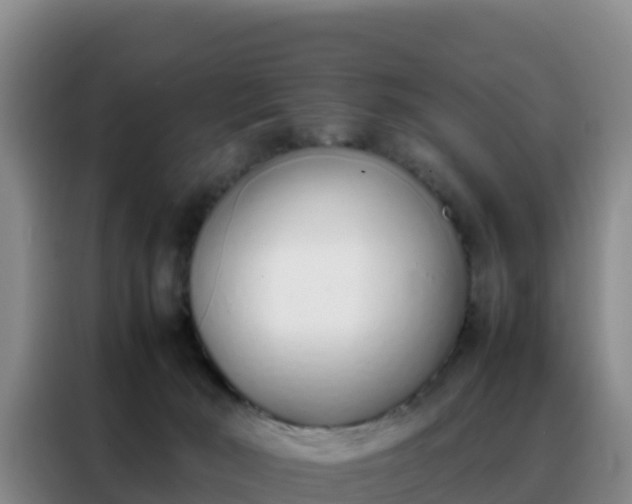 X0000088150030200705211205