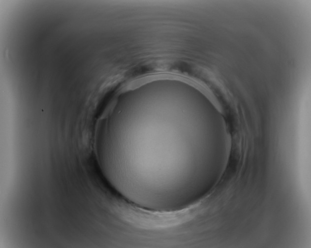 X0000088150031200705211205