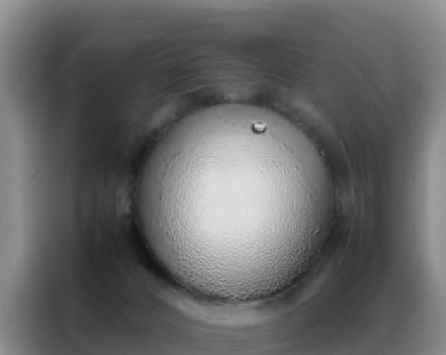 X0000088150032200705211205