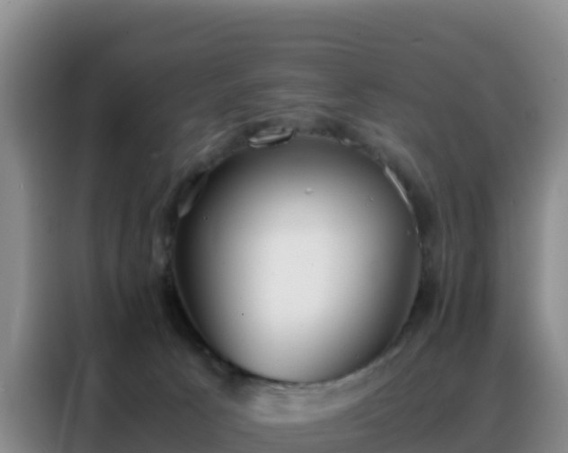 X0000088150033200705211205