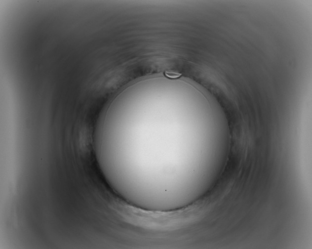 X0000088150034200705211205