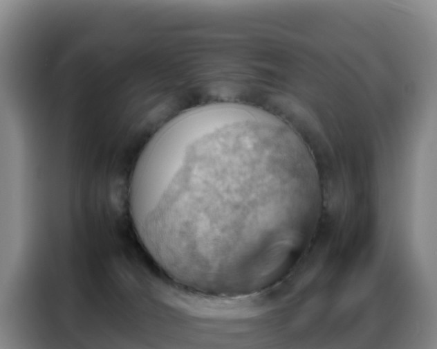 X0000088150036200705211205