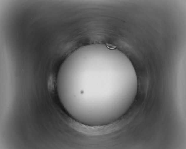 X0000088150038200705211205