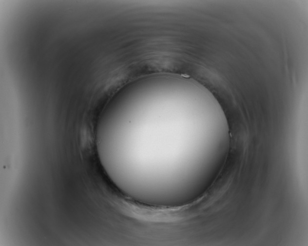 X0000088150040200705211205