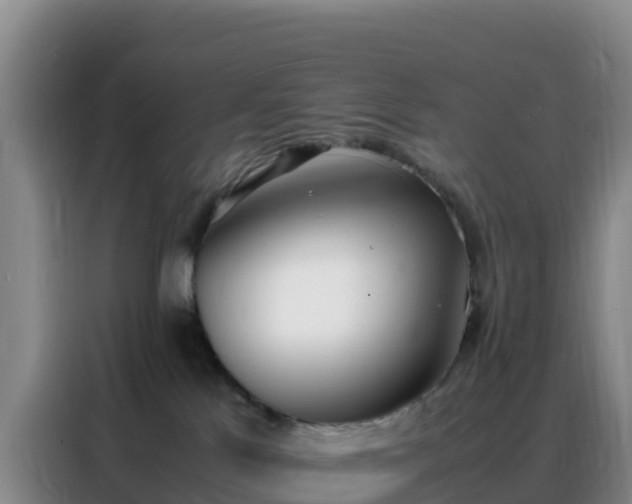 X0000088150041200705211205