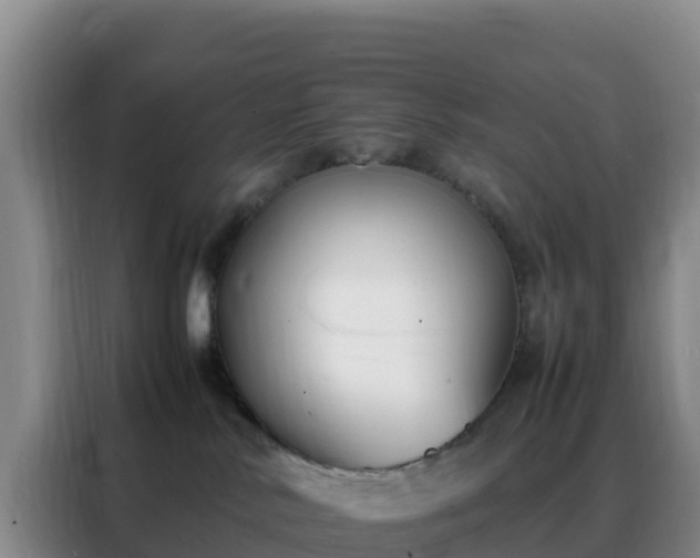 X0000088150042200705211205