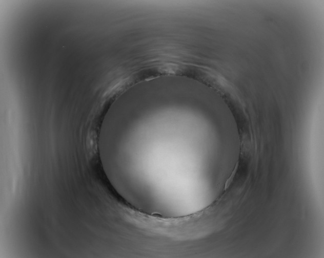 X0000088150043200705211205