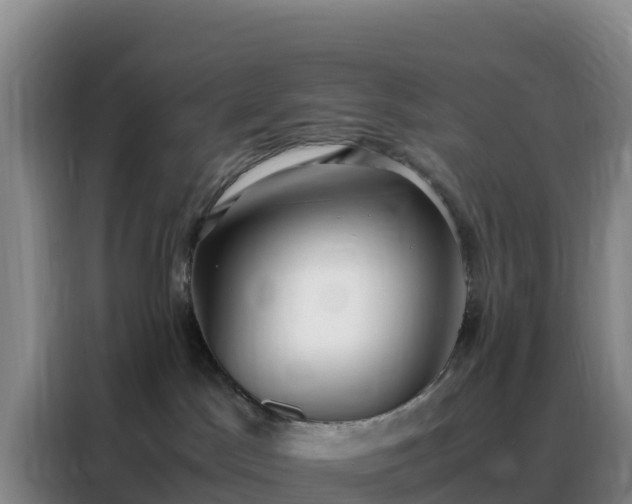 X0000088150045200705211205