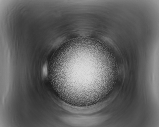 X0000088150046200705211205