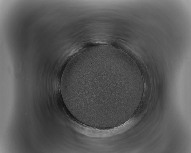 X0000088150048200705211205