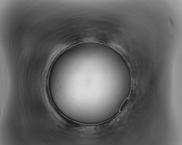 X0000088150049200705211204