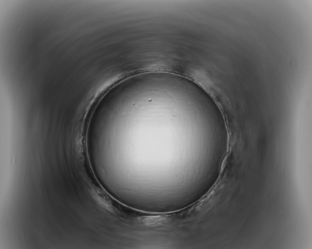 X0000088150050200705211204