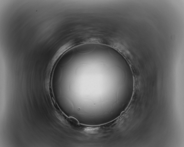 X0000088150051200705211204