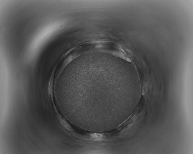 X0000088150052200705211204