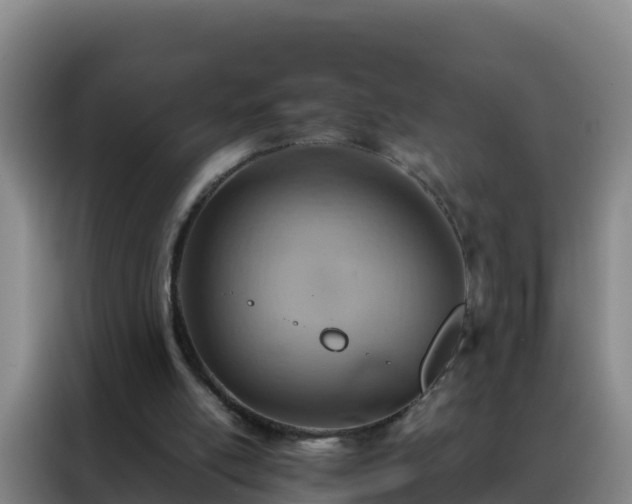 X0000088150054200705211204